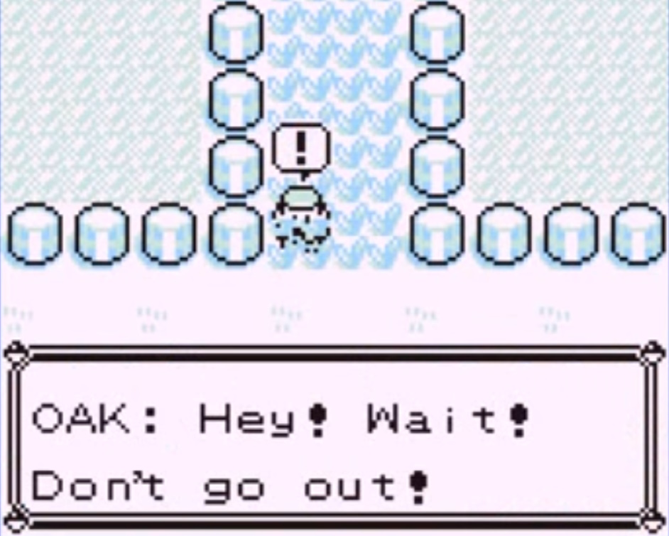 Screenshot from Pokemon Blue (1996).