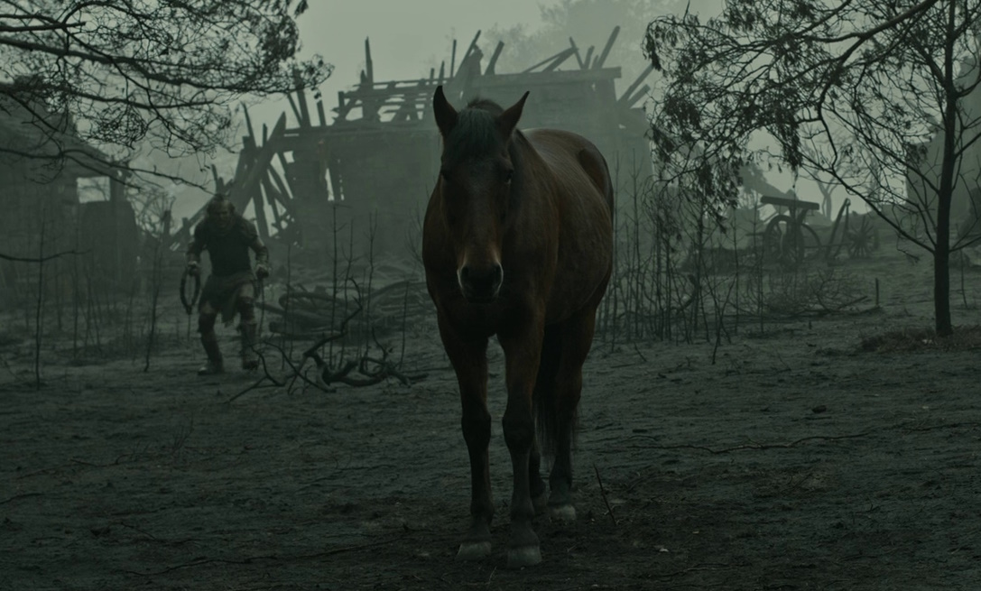 Still frame from The Lord of the Rings: The Rings of Power Season 2 (2024) showing Isildur's horse, Berek.