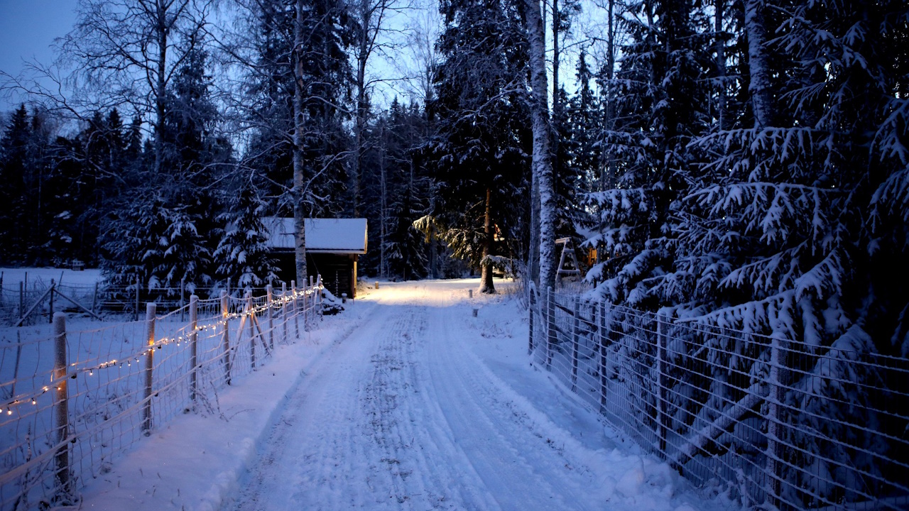 A photograph of a snow-covered road through some trees, with fairy lights on a fence on one side.