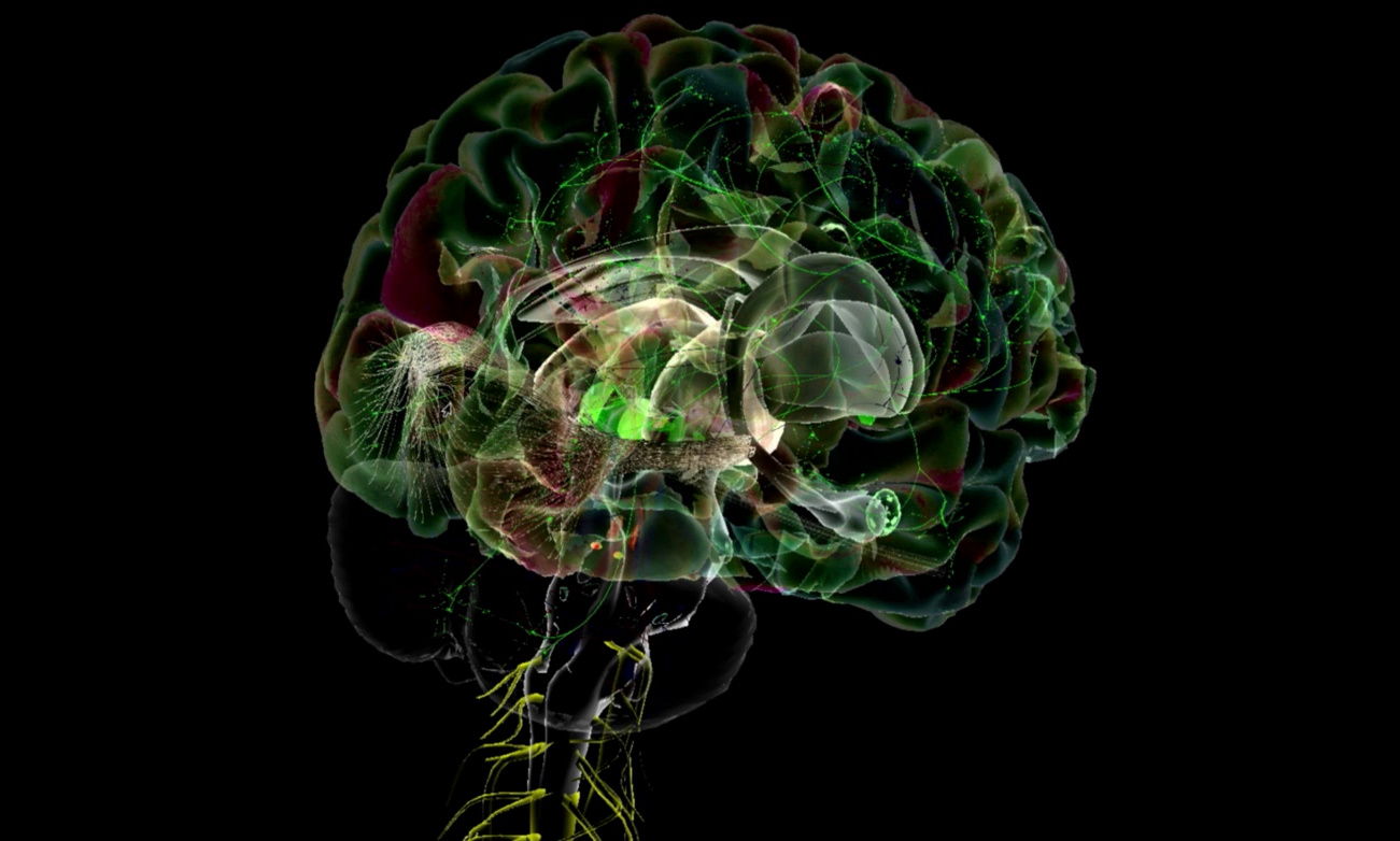 Still frame from We Need To Talk About A.I. showing a digital brain.