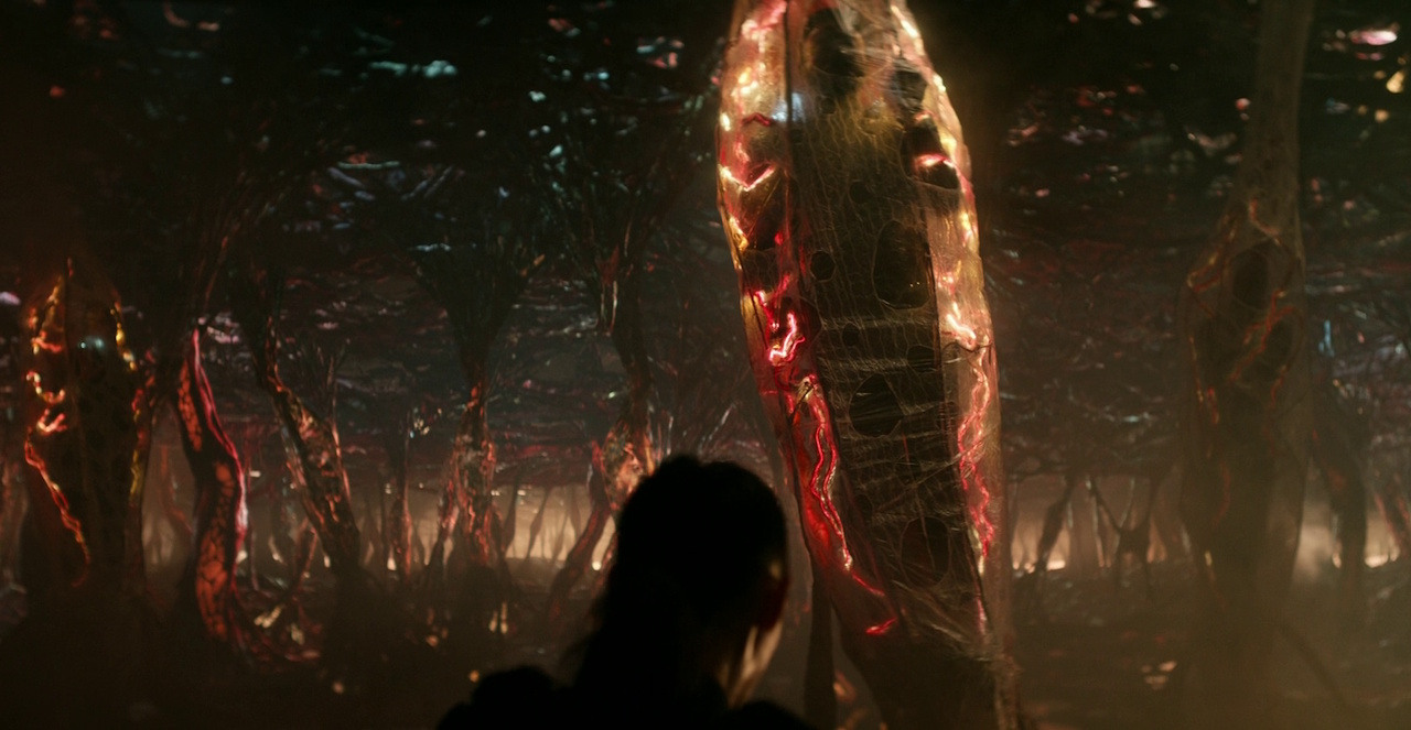 Still frame from Star Trek: Strange New Worlds 3x01: Hegemony, Part II, showing the Gorn prison.