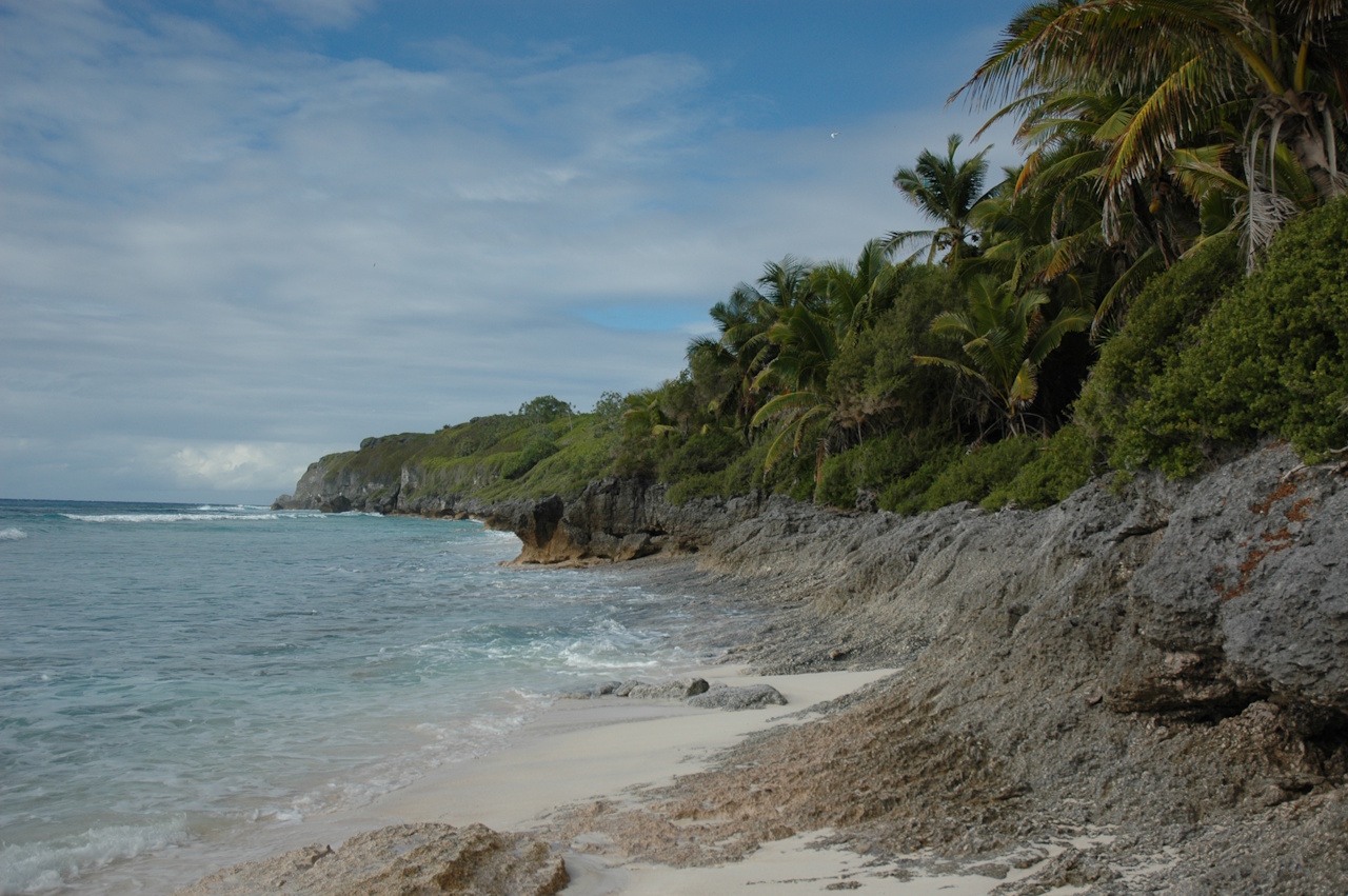 Photo of a beach on Henderson Island.