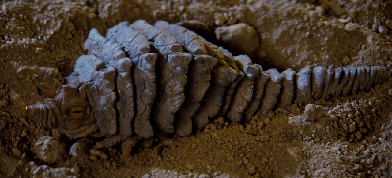 Still frame from Star Trek II: The Wrath of Khan showing a Ceti eel.