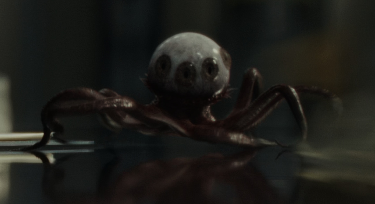 Still frame from Alien: Earth (2025) showing the eyeball alien.