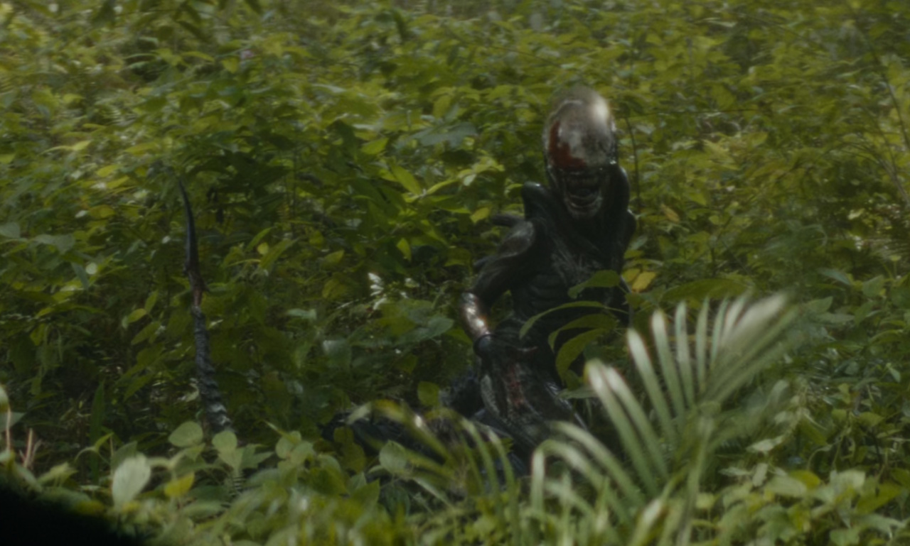 Still frame from Alien: Earth (2025) showing the Xenomorph outside the facility, surrounded by green vegetation.