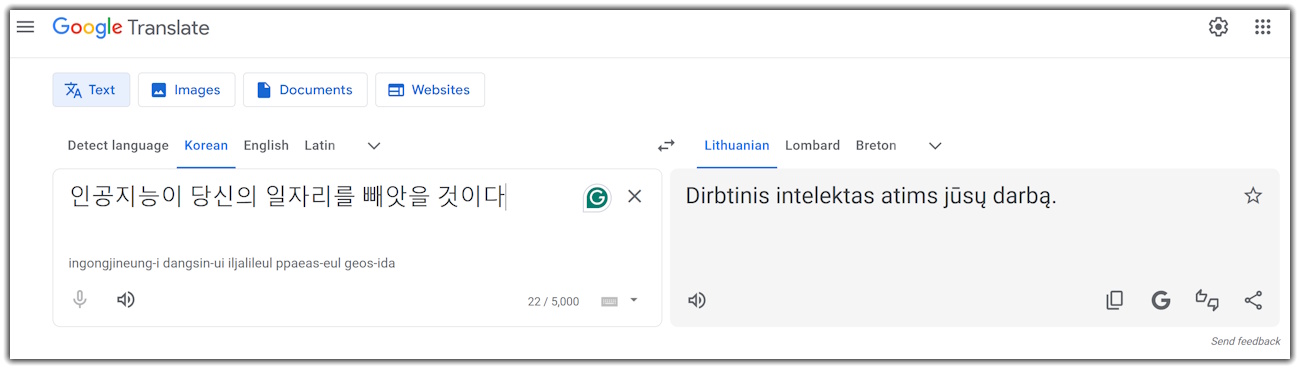 Screenshot of Google Translate showing real-time text translation.