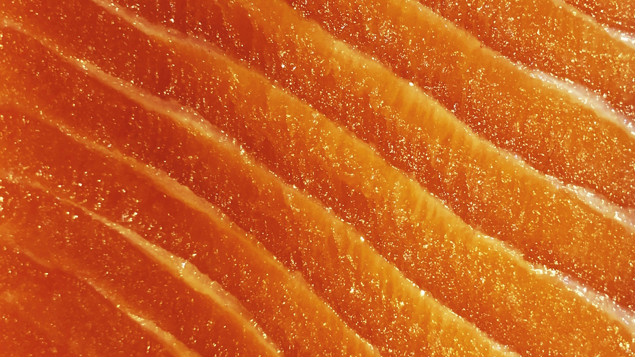 Stock photo of salmon flesh.