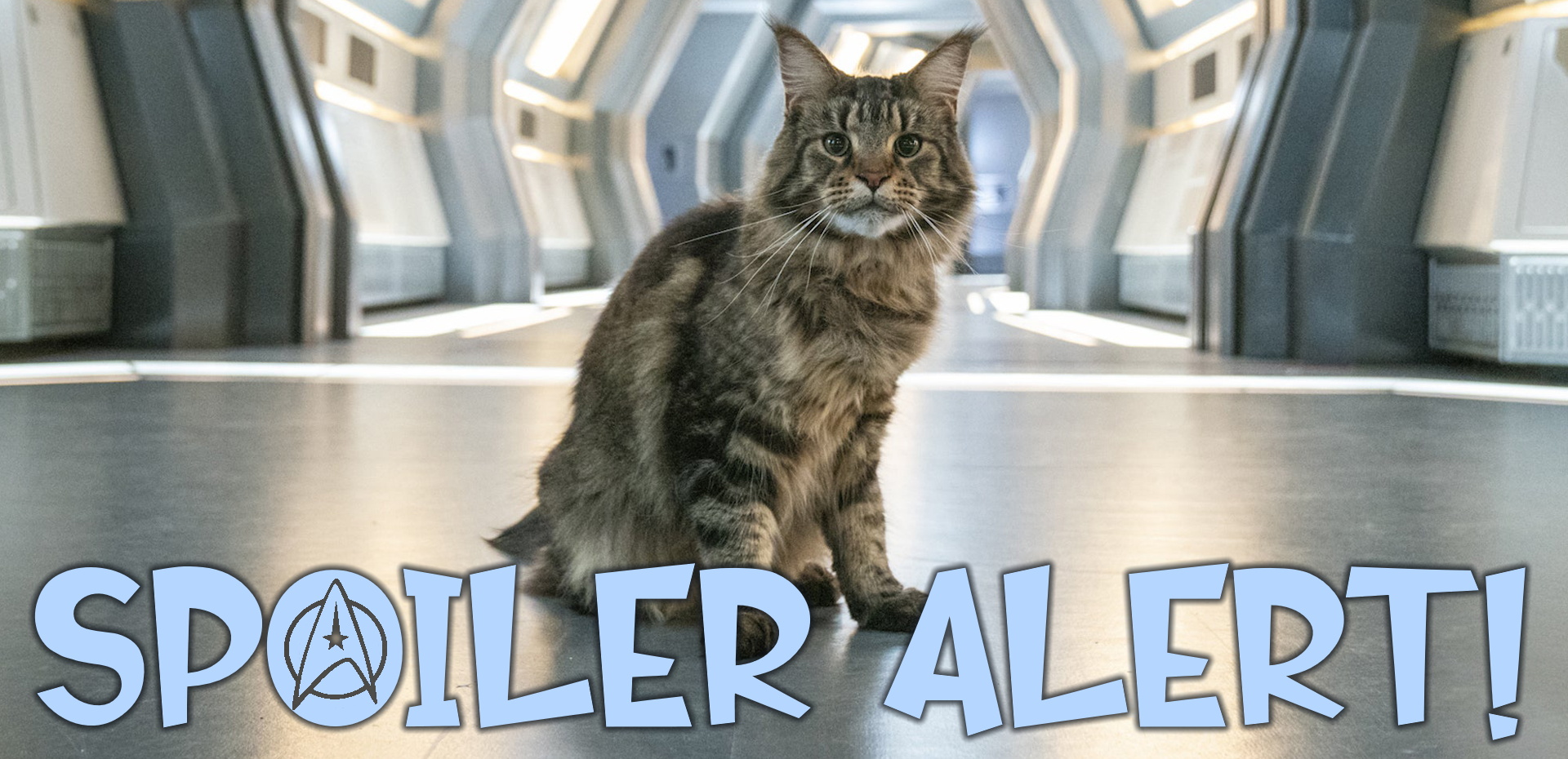 A Star Trek-themed spoiler warning