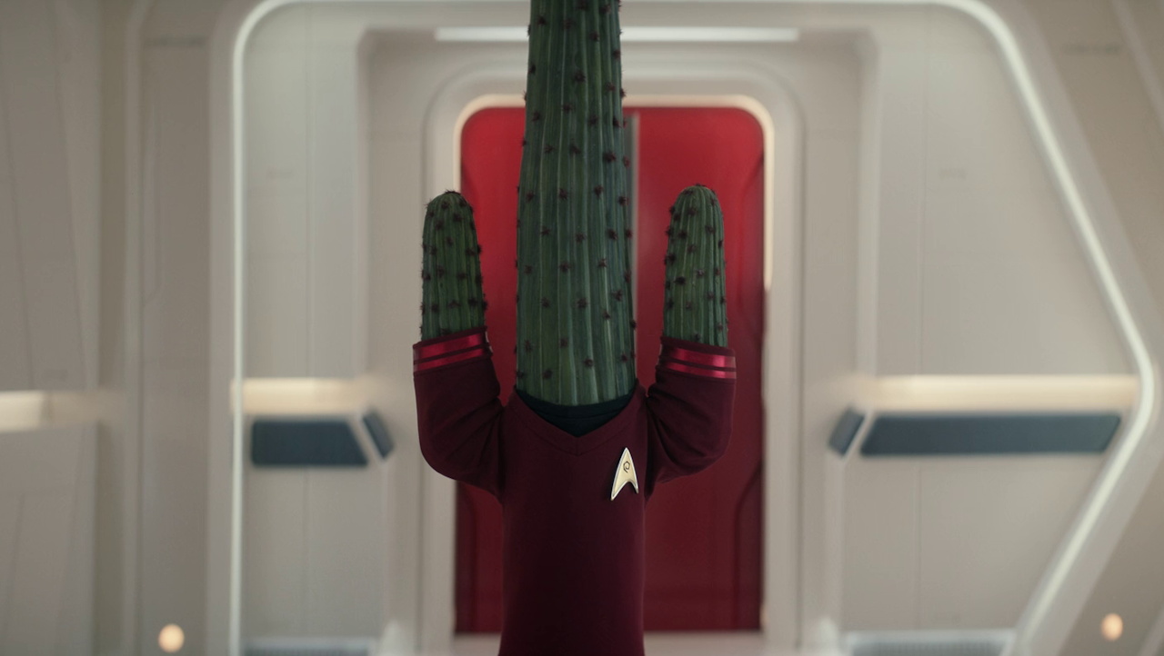 Still frame from Star Trek SNW 4x03 showing Ortegas as a cactus