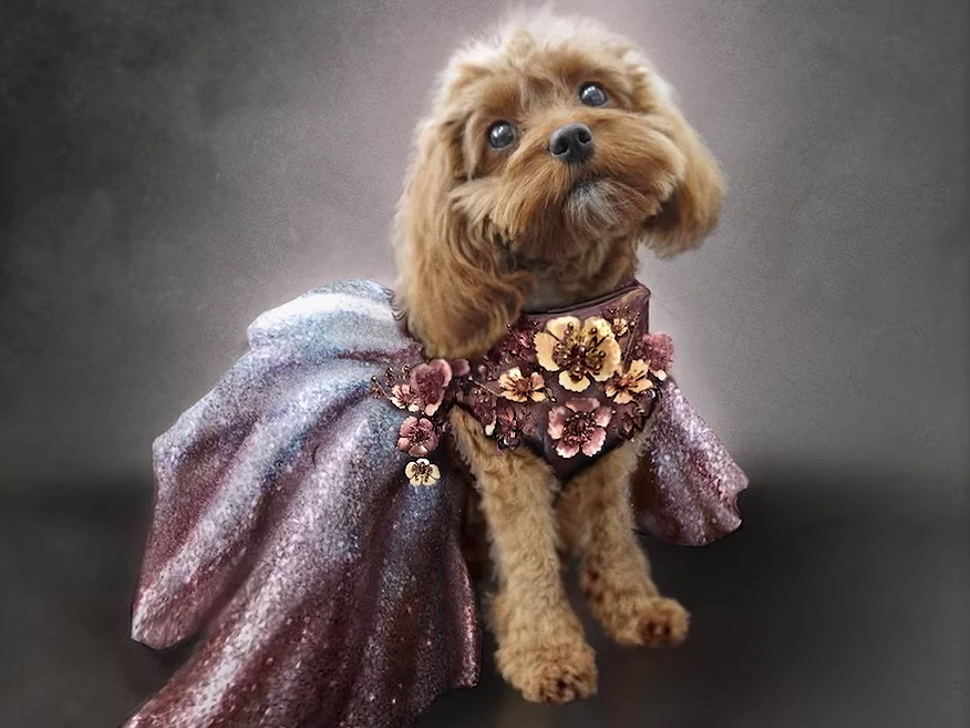 Concept art from Star Trek SNW 1x08 showing Runa the dog